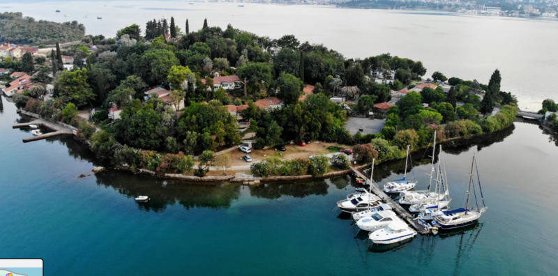 newest-news-post-image